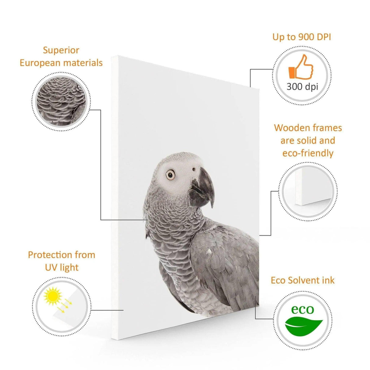 Customized canvas print of a grey parrot showcasing eco-friendly materials and UV protection features.
