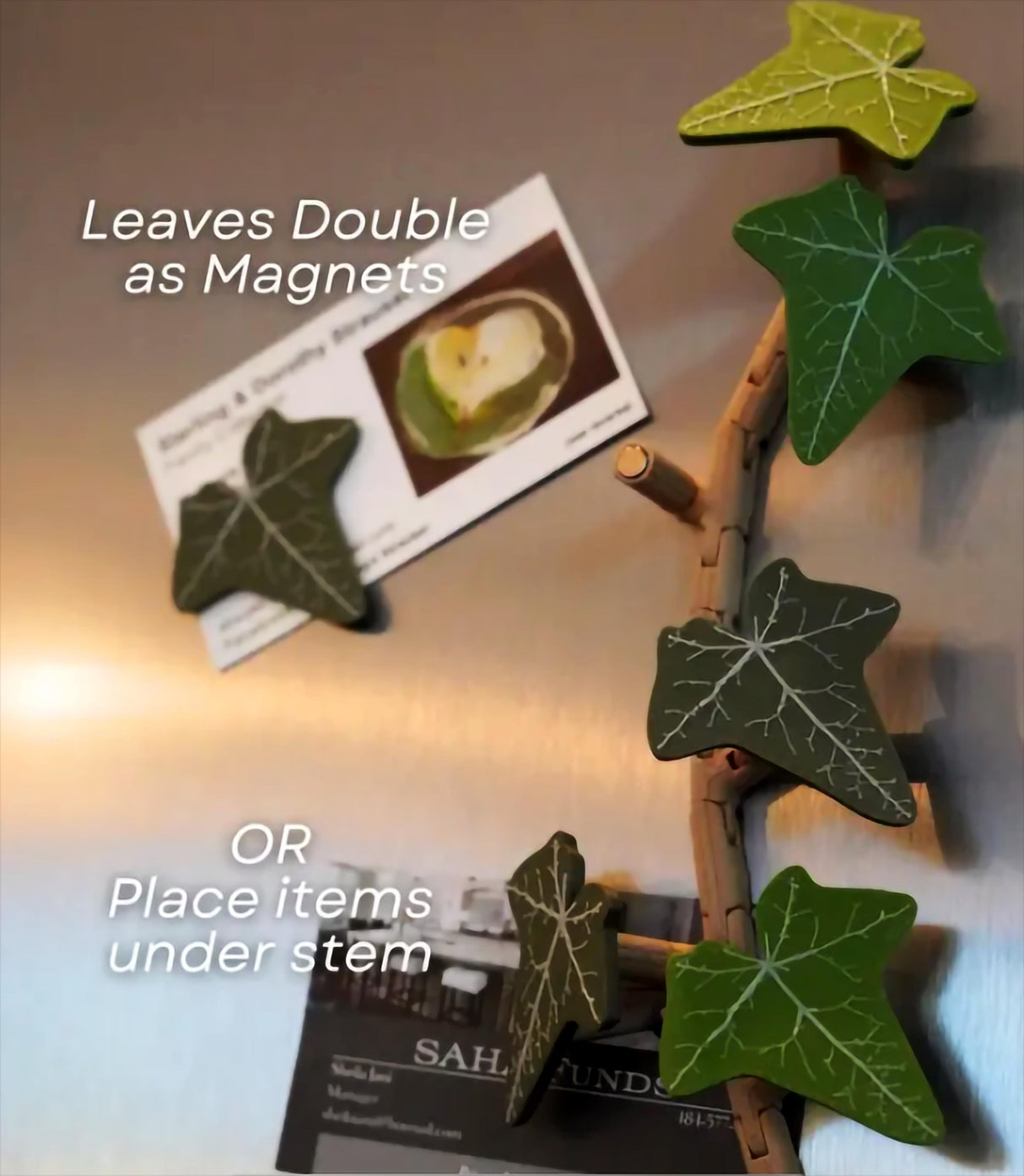 English Ivy fridge magnet displayed on a fridge, showcasing flexible magnets doubling as decor and item organizers.