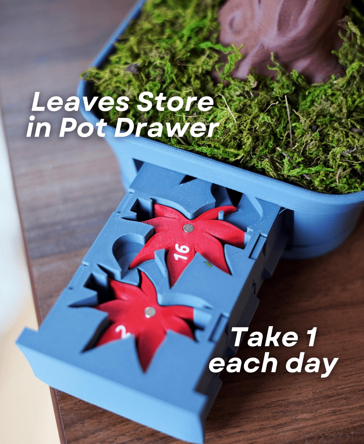 Bonsai Tree Calendar showing storage drawer with red leaves for daily use, enhancing desk decor and organization.