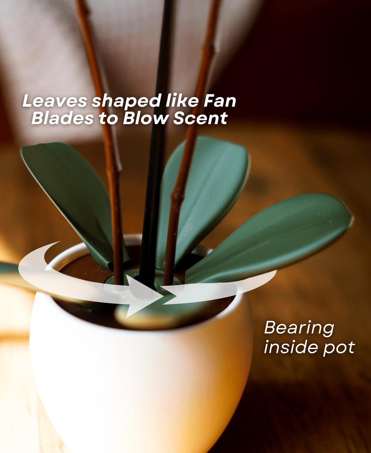 Aromatic Orchid Oil Diffuser with fan-shaped leaves designed to disperse fragrance elegantly in a modern home decor.