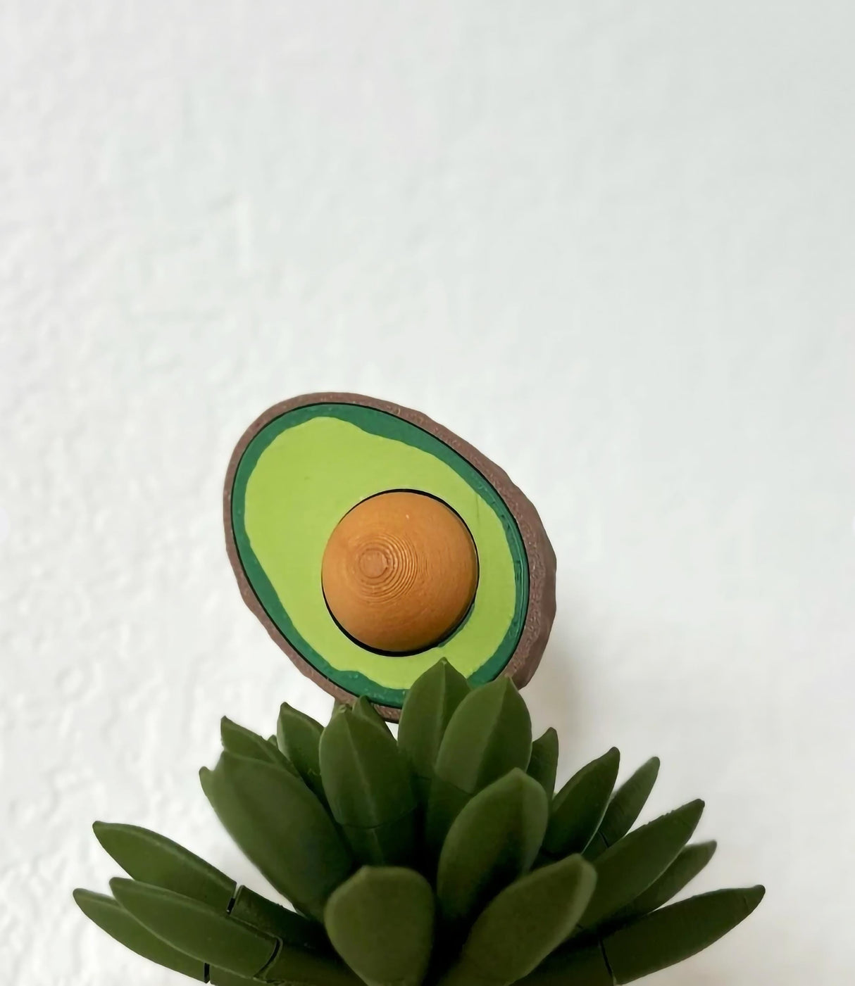 Avocado Clicker fidget toy with clickable seed, beside a succulent plant, perfect for stress relief and fun.