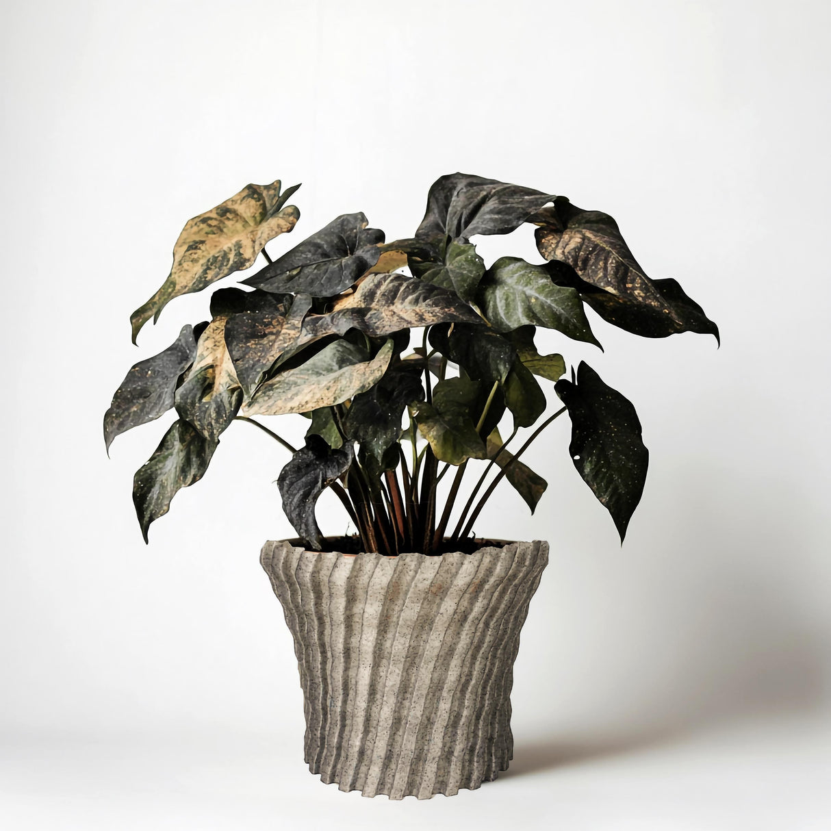 3D printed zig zag planter cover with potted plant in a minimalist design, ideal for modern indoor decor.