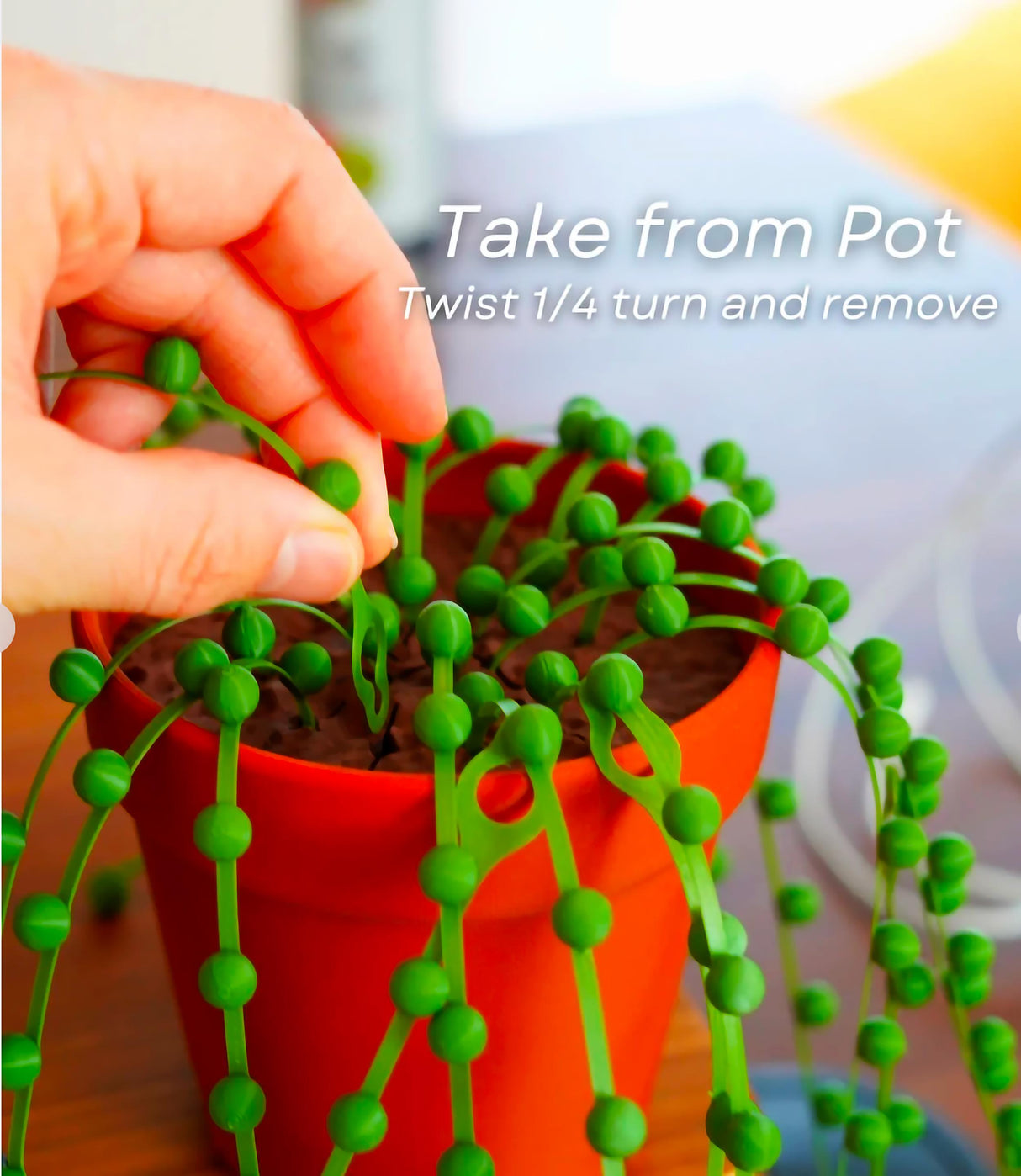 Hand removing a green cable tie from a pot designed as a String of Pearls plant, showcasing its unique cable organization.