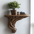 Tree root floating wall shelf with a potted plant and decorative items, showcasing rustic boho decor.