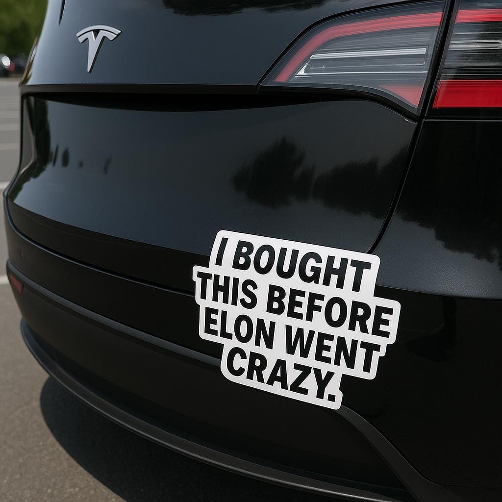Tesla bumper sticker reading 'I Bought This Before Elon Went Crazy' on a black car.
