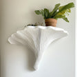 Sculptural Turkey Tail mushroom-inspired white floating shelf with potted plants as modern wall decor.