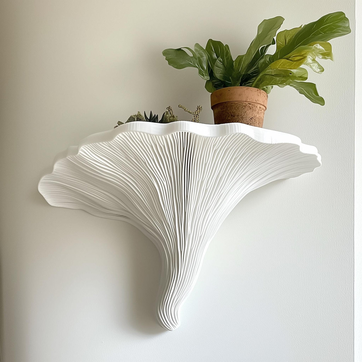 Sculptural Turkey Tail mushroom-inspired white floating shelf with potted plants as modern wall decor.