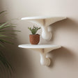 Set of 2 honey mushroom inspired wall shelves with potted plant, minimalist 3D printed decor for home.