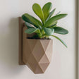 A modern wall-mounted planter with a faceted geometric design, printed in matte beige PLA and holding a small leafy green plant.