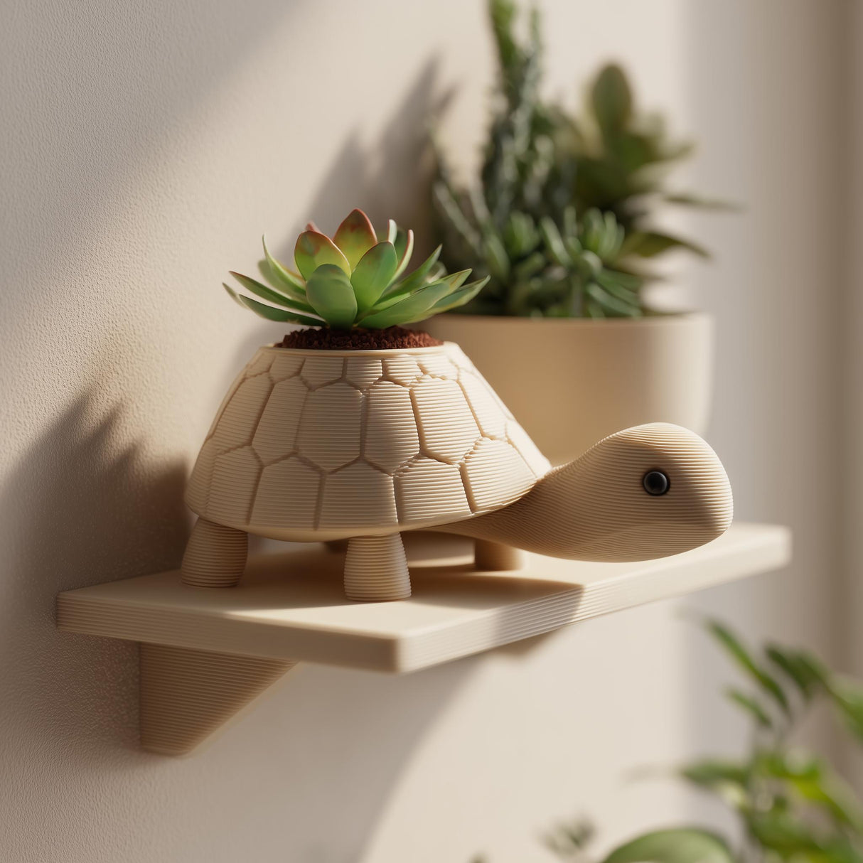 3D printed turtle-shaped planter standing on a small floating shelf, holding a succulent, mounted on a light wall with plants nearby in soft natural light.