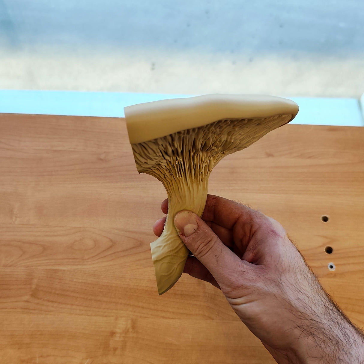 3D Printed Mushroom Shelf | Floating Wall Shelf | Fungi Wall Decor