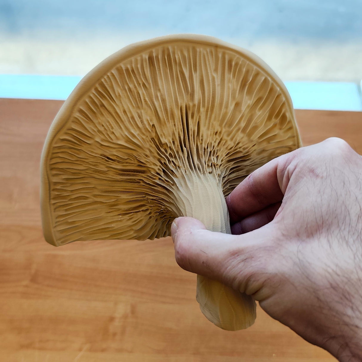 3D Printed Mushroom Shelf | Floating Wall Shelf | Fungi Wall Decor