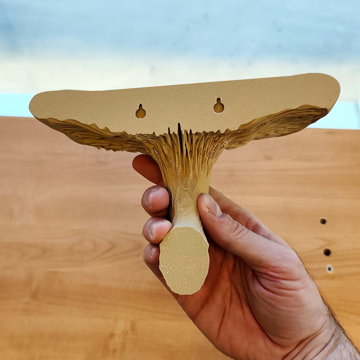 3D Printed Mushroom Shelf | Floating Wall Shelf | Fungi Wall Decor | Nature Inspired Home Accent | Modern Wall Mounted Shelf Aesthetic Decor