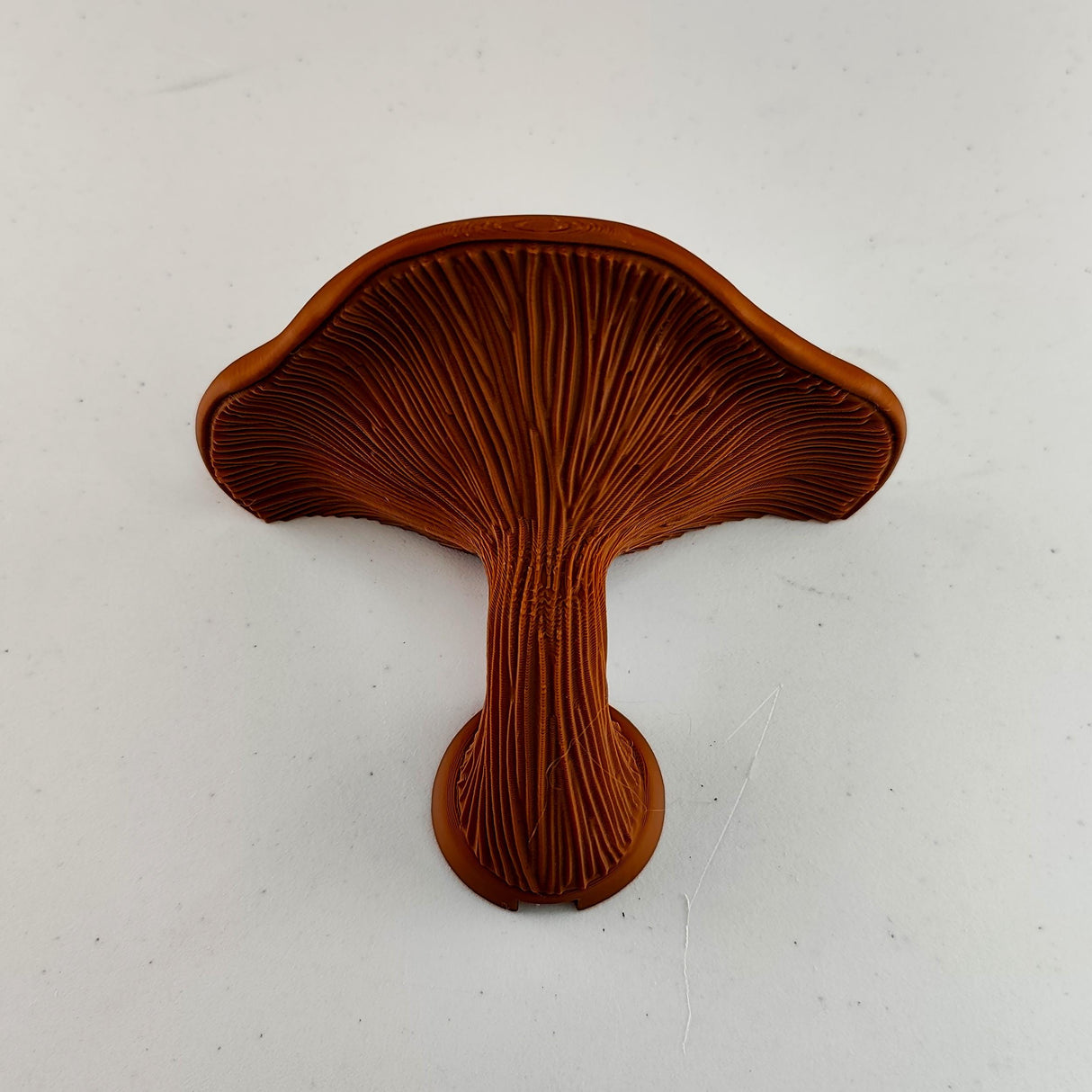 Mushroom Shelf | Floating Wall Shelf Fungi Wall Decor | 3D Printed Modern Home Accent Unique Wall Mounted Shelf