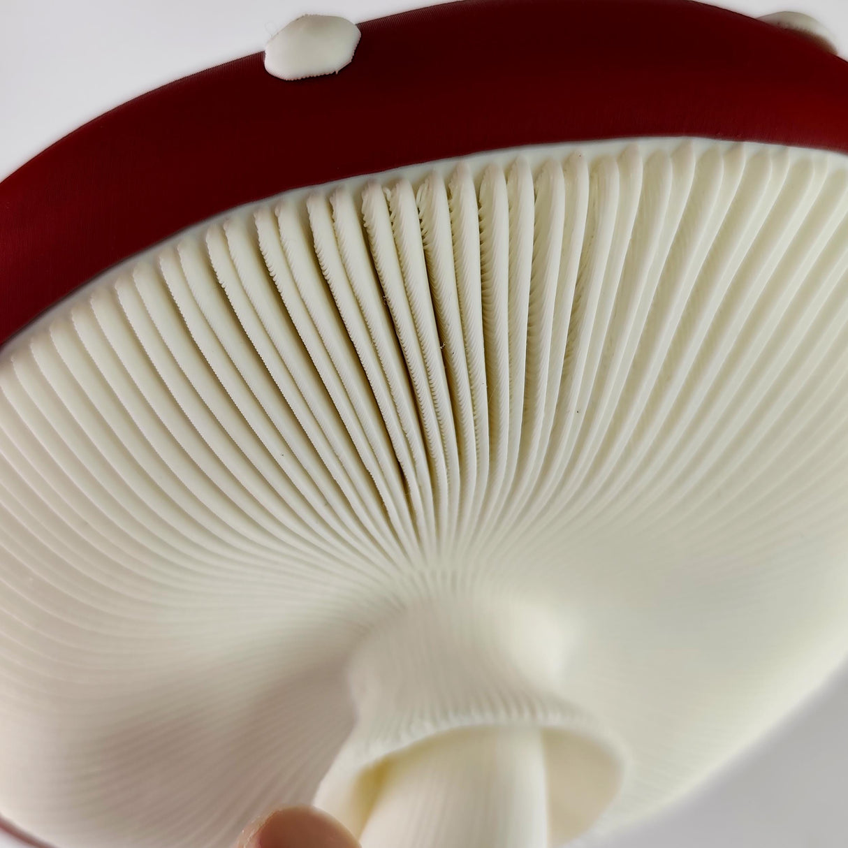 3D Printed Mushroom Wall Shelf | Amanita Toadstool Floating Ledge | Whimsical 3D Printed Wall Decor for Cozy Fantasy Inspired Interiors