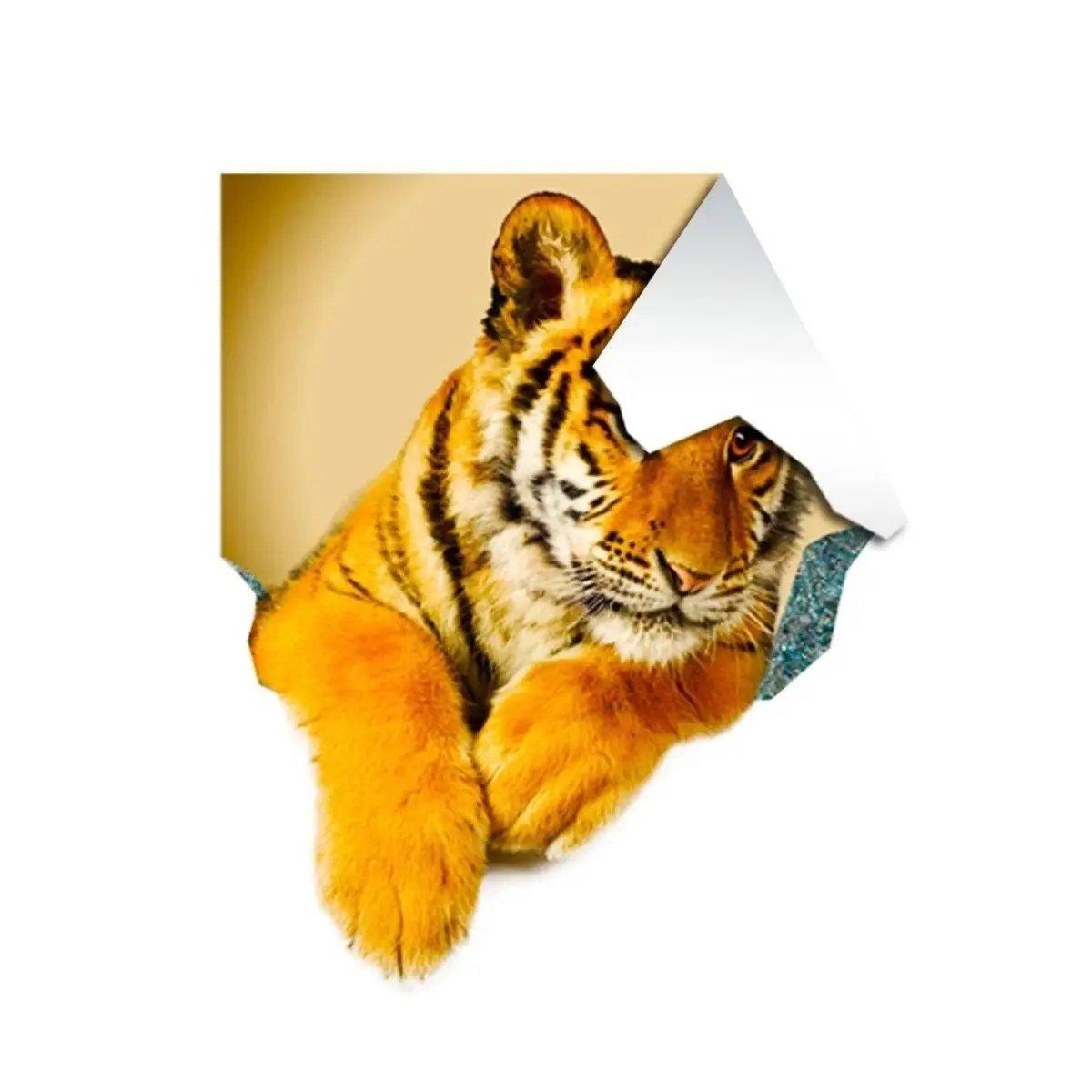 3D tiger wall decal featuring an optical illusion design, perfect for adding excitement to bedroom decor.