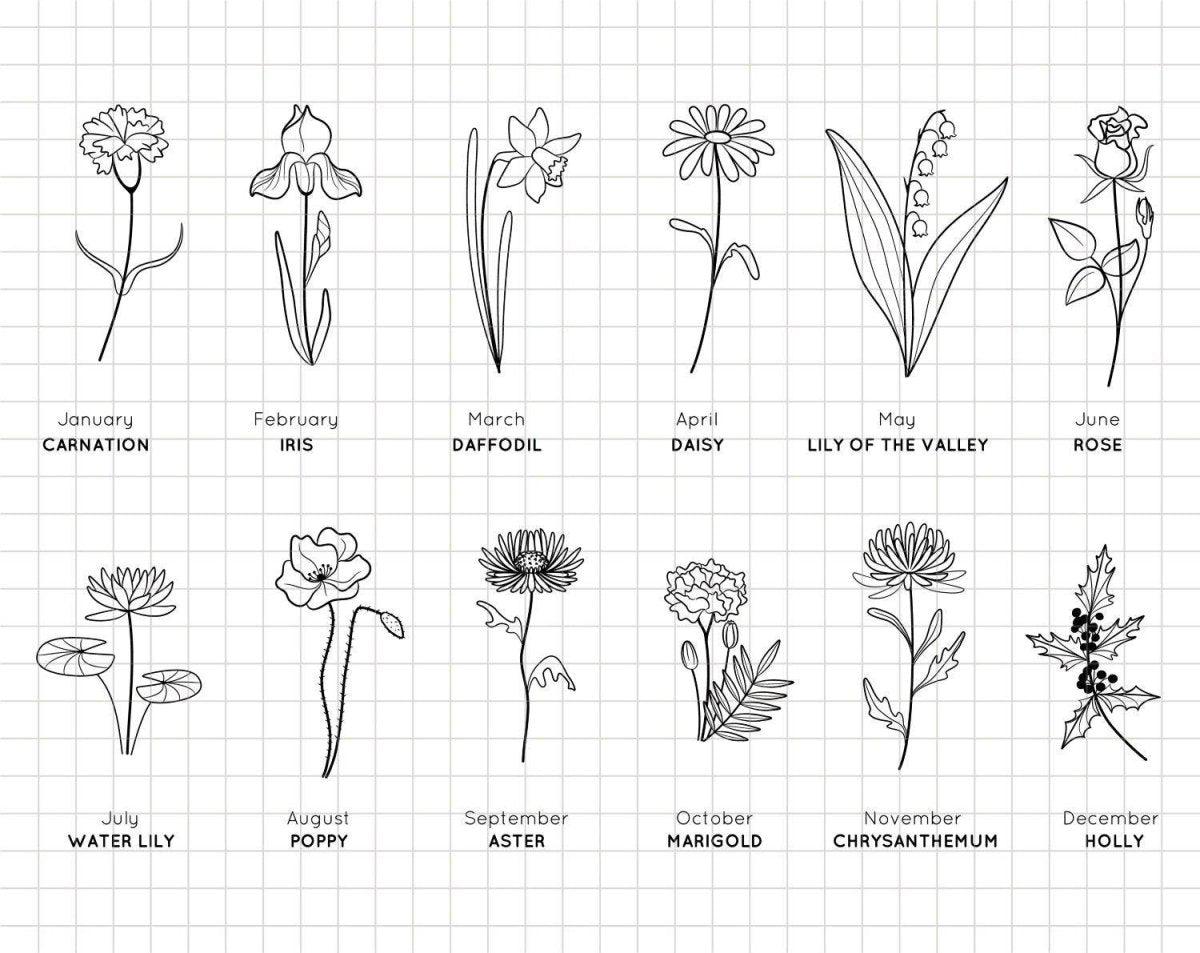 Line art illustrations of birth flowers for each month: Carnation, Iris, Daffodil, Daisy, Lily of the Valley, and more.