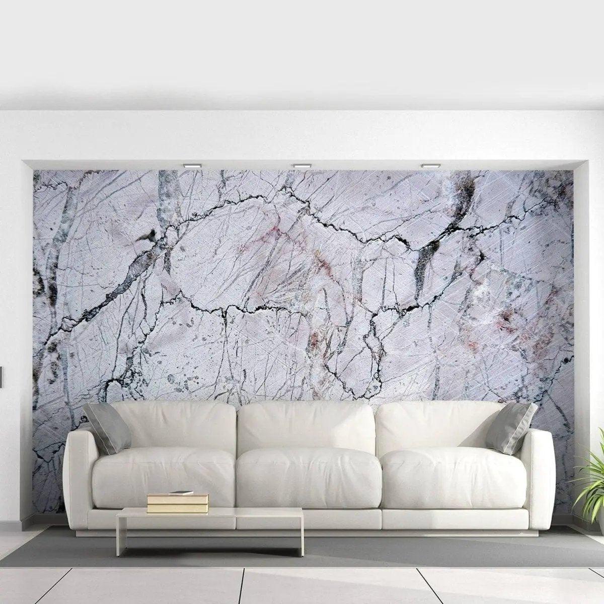 Elegant marble wall covering installed behind a modern sofa in a stylish living room.