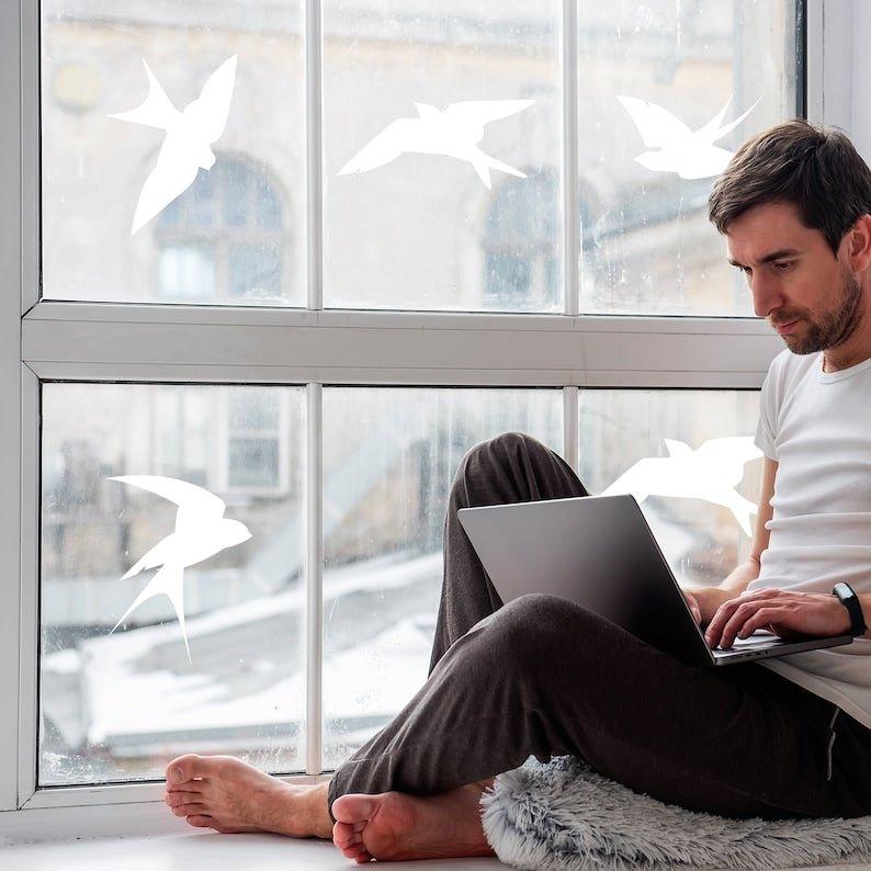 Man working on a laptop by a window adorned with anti-collision bird decals for bird safety.