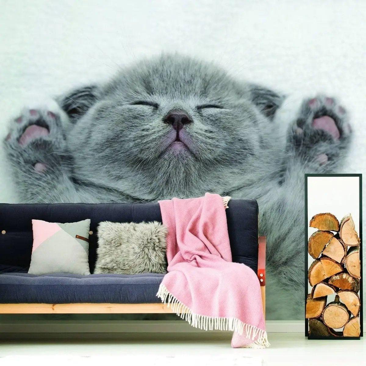 Gray kitten wall sticker featuring an adorable sleeping cat, perfect for adding charm to your home decor.