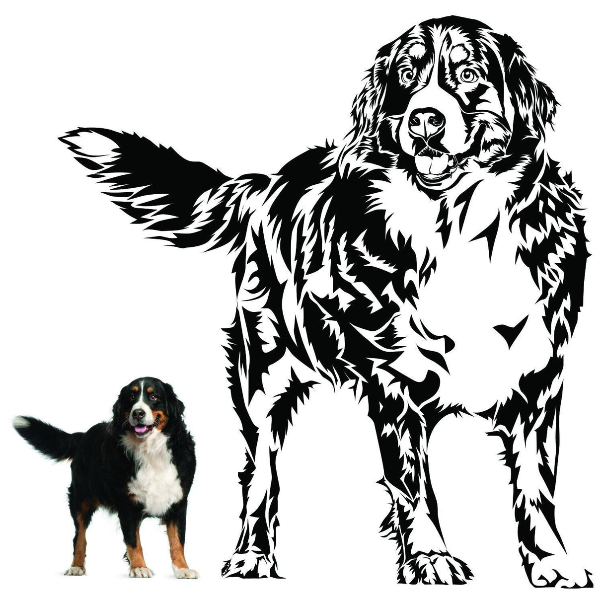 Custom wall decal featuring a large illustration of a Bernese Mountain Dog, alongside a real dog for size comparison.