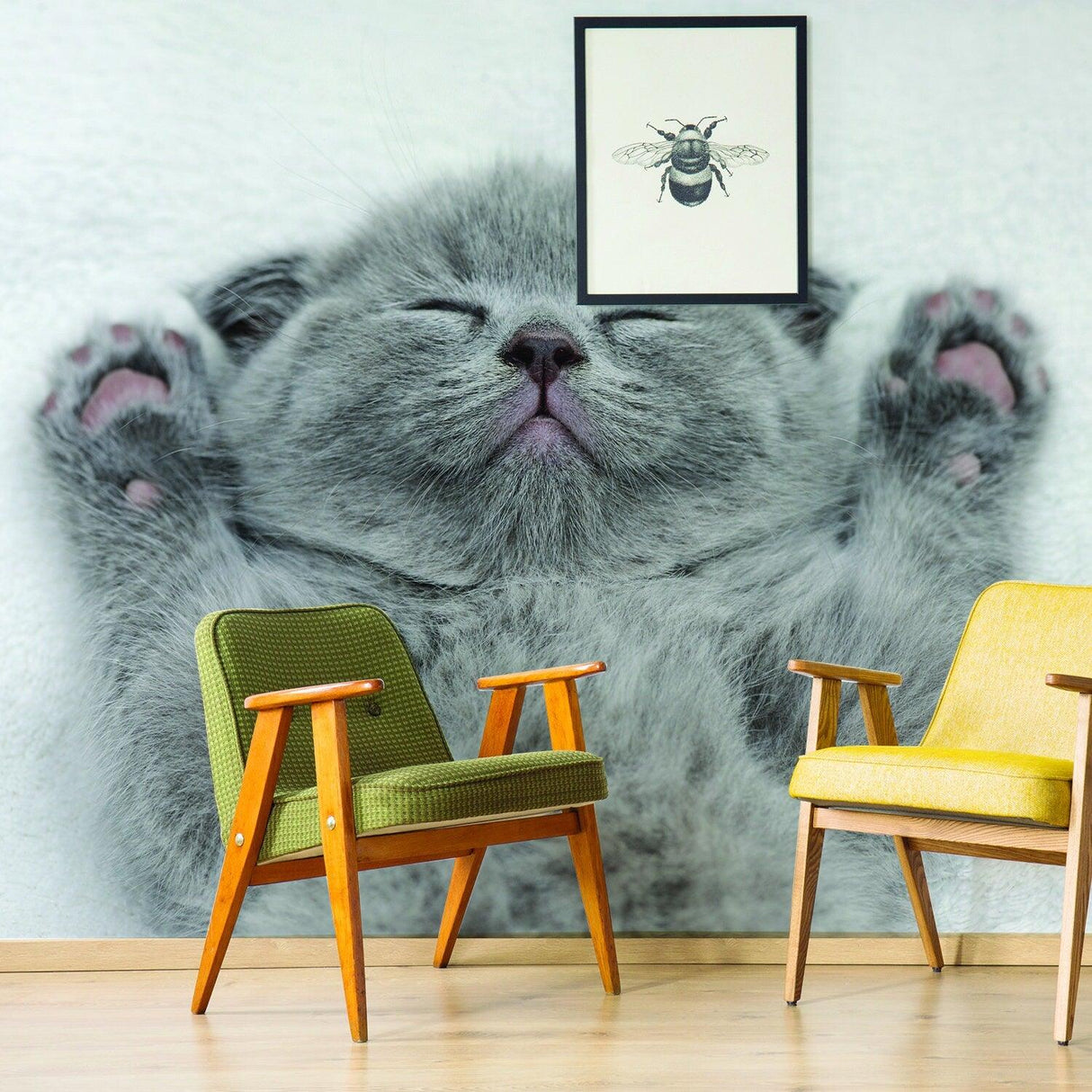 Cozy living room featuring a large gray kitten wallpaper decal and two colorful chairs.
