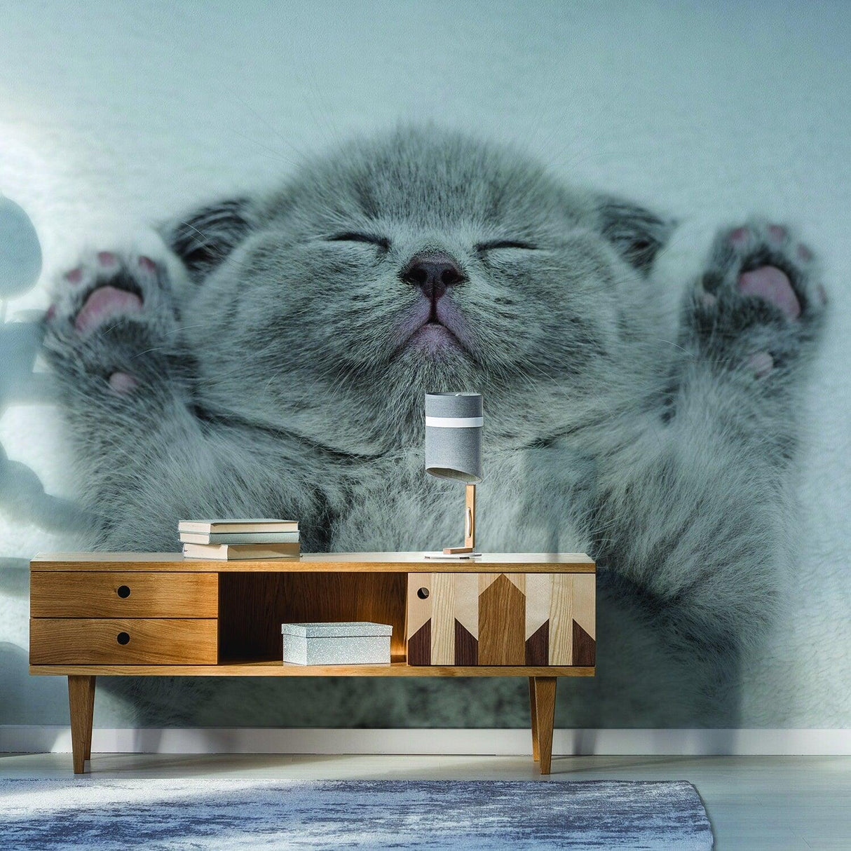 Gray kitten wall mural with paws up, enhancing cozy bedroom decor for cat lovers.