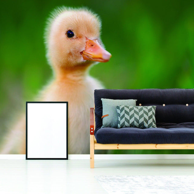 Adorable duck wallpaper decal in a home setting, adding charm and whimsy to any room decor.