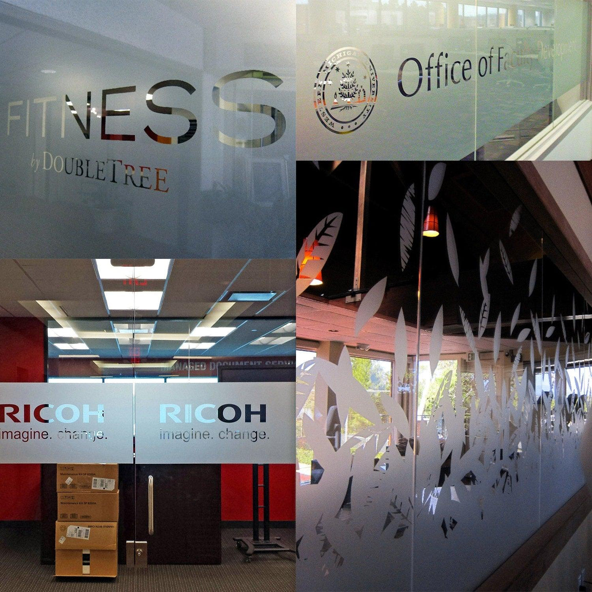 Collage of custom frosted window film decals showcasing office signage and decorative designs for privacy.
