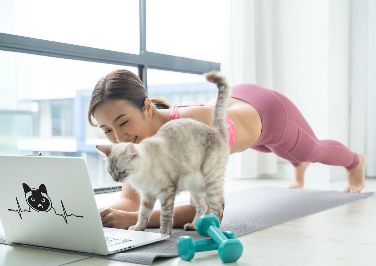 Woman doing plank exercise with a playful Siamese cat by her side next to a laptop and dumbbells.