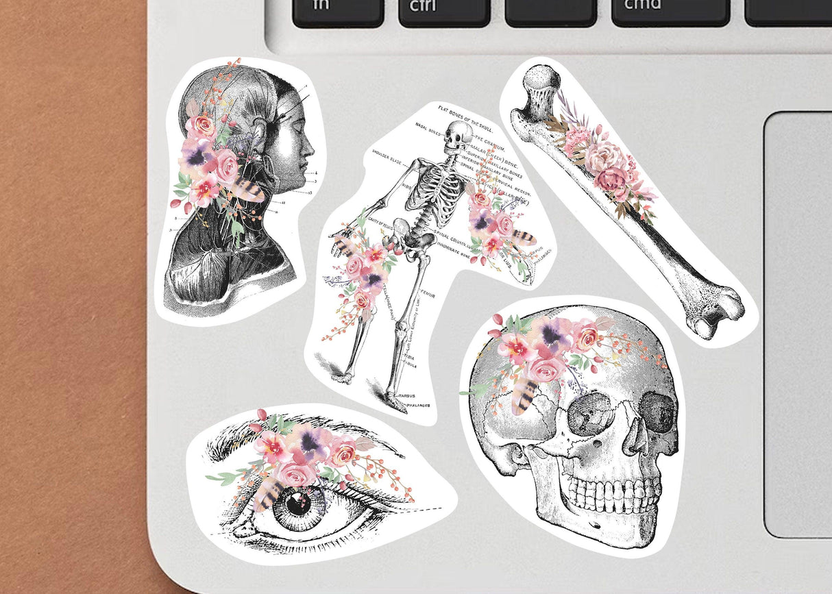 Colorful anatomical stickers featuring a skull, skeleton, eye, and floral designs on a laptop.