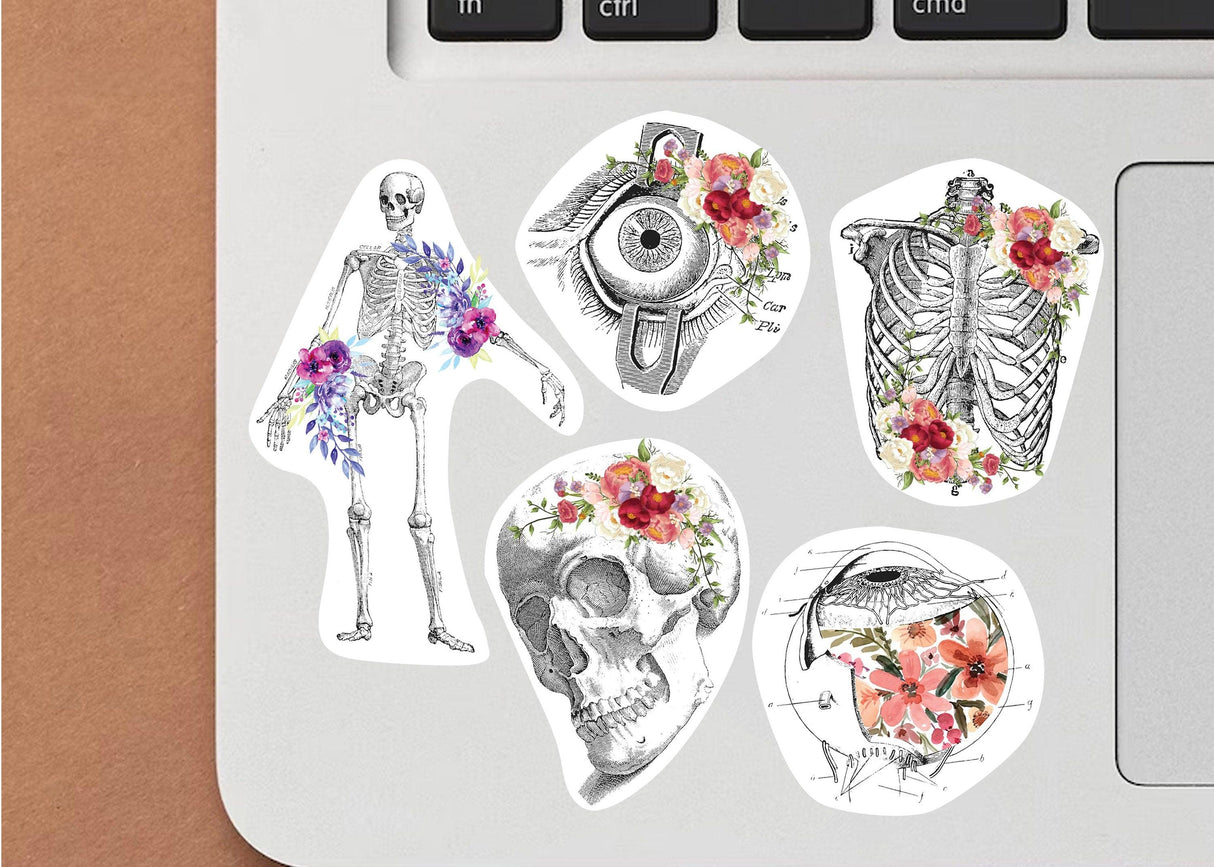 Set of anatomical stickers featuring a skeleton, skull, eye, and floral designs for Hydroflask.