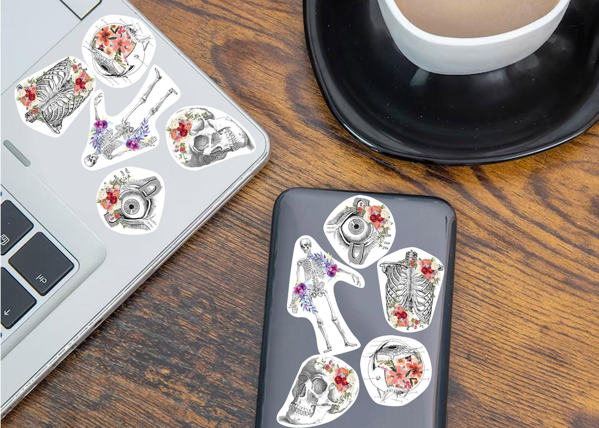 Anatomy stickers featuring skulls and bones on a laptop and phone, perfect for medical students.