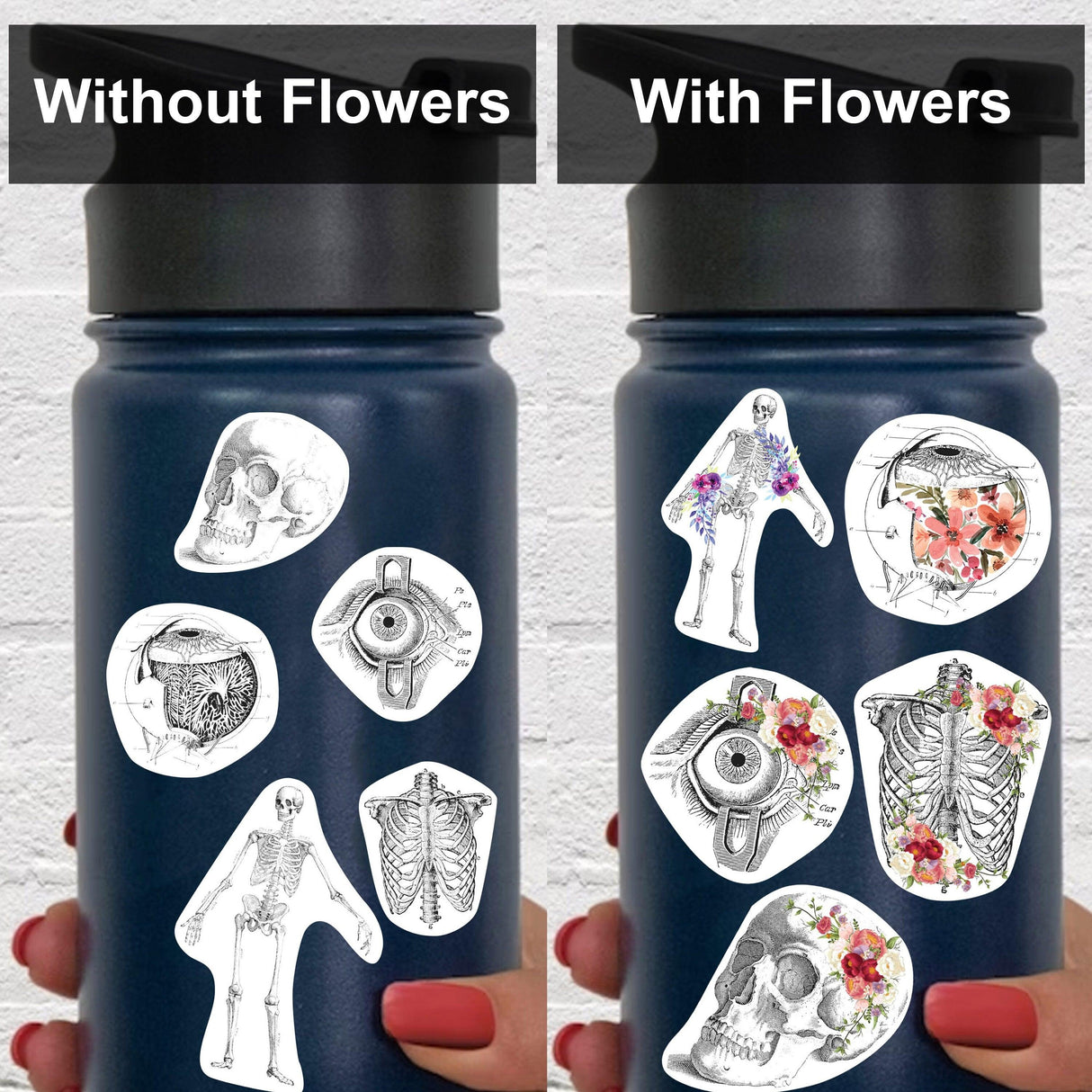 Anatomy stickers for Hydroflask, showing two styles: one with floral designs and one without flowers.