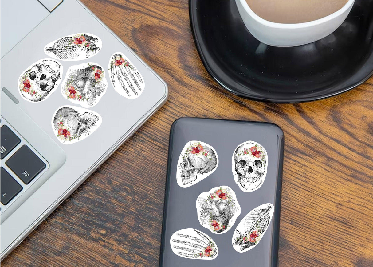 Colorful anatomy stickers featuring skulls and bones on a laptop and phone case, perfect for medical students.