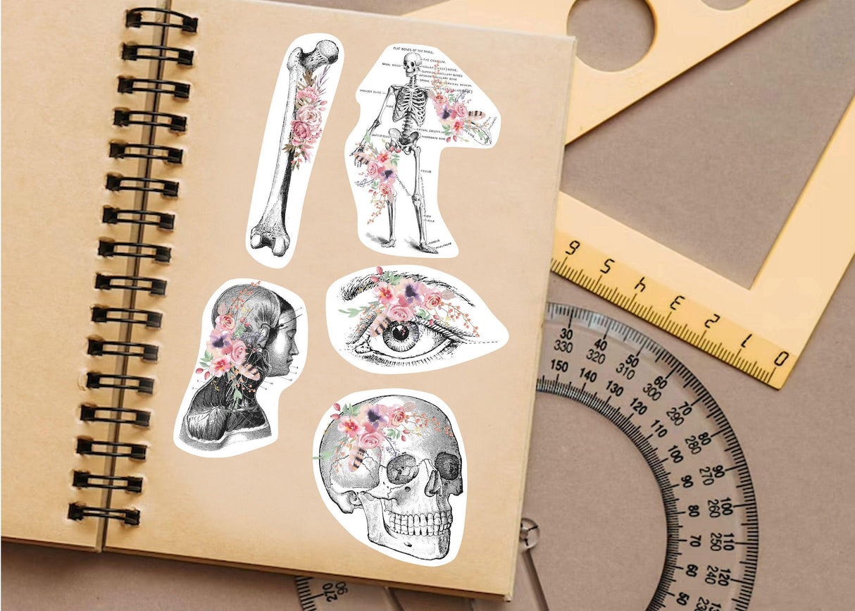 Anatomy stickers featuring a skeleton, bones, skull, and floral designs on a notebook, ideal for doctors and medical students.