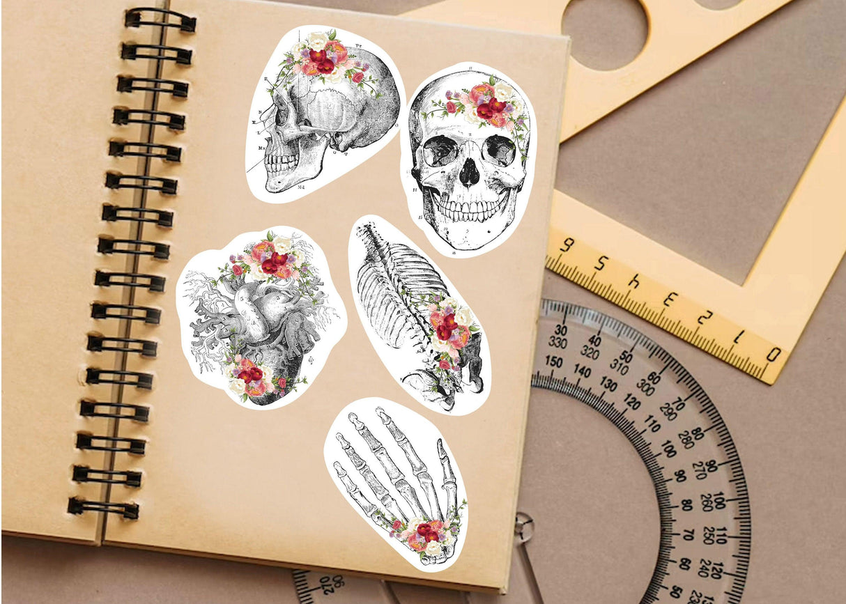 Anatomy skeleton decals featuring skulls and floral designs on a notebook, perfect for medical school decor.