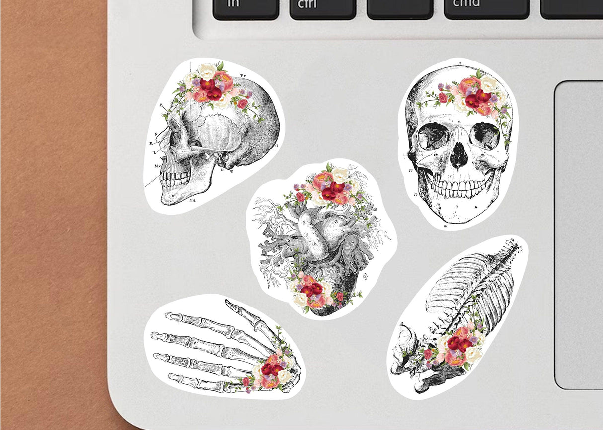 Detailed medical skeleton decals and skull stickers with floral designs on a laptop surface.