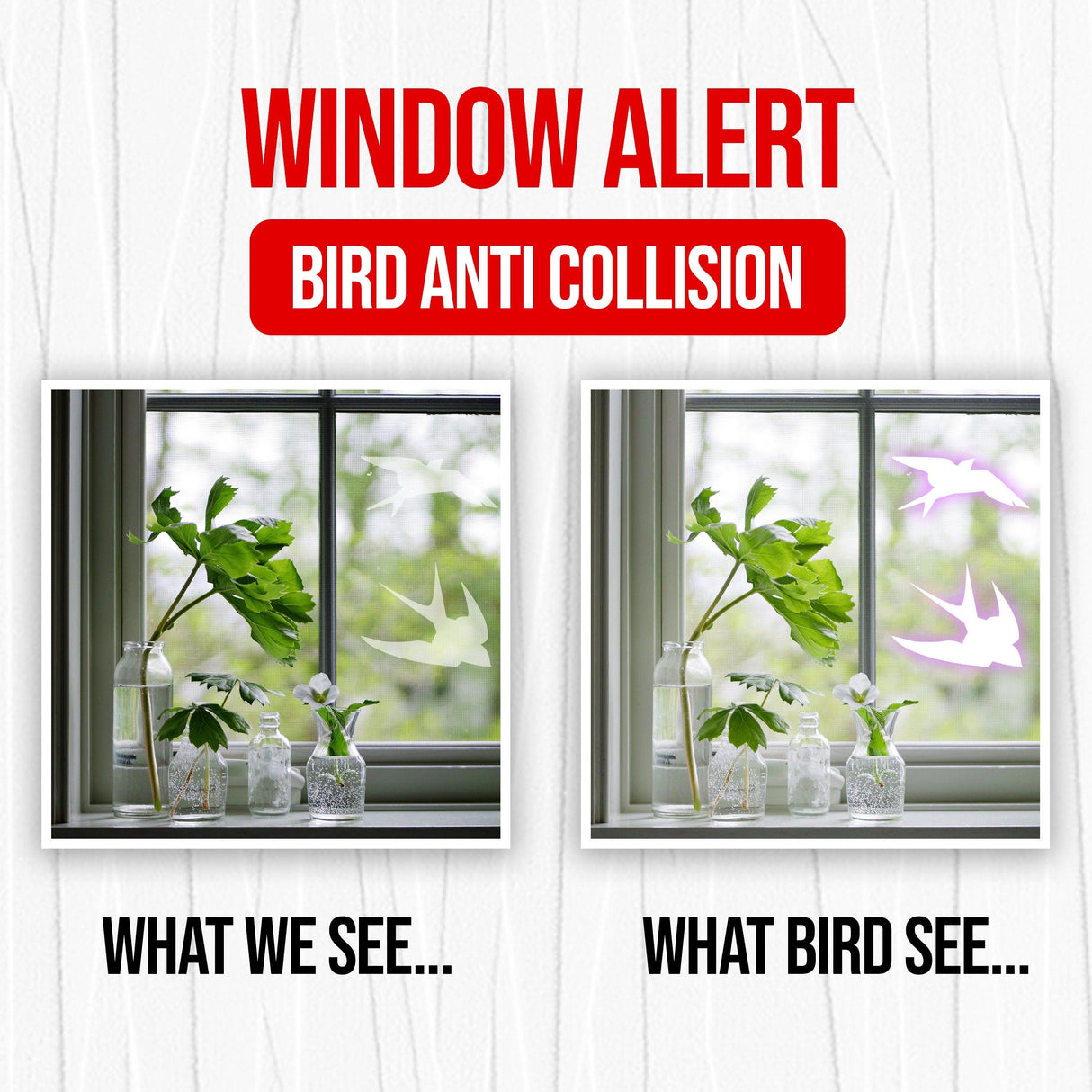 Comparison of window alert bird anti-collision stickers showing how birds perceive the window.
