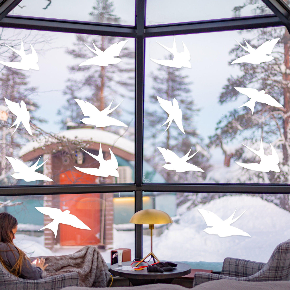 Anti-collision bird stickers on window, enhancing safety and beauty in a cozy indoor space.