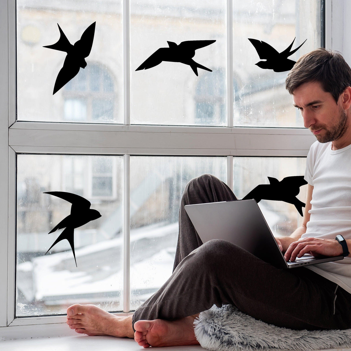 Man working on laptop at window with black bird silhouette decals for bird strike prevention.
