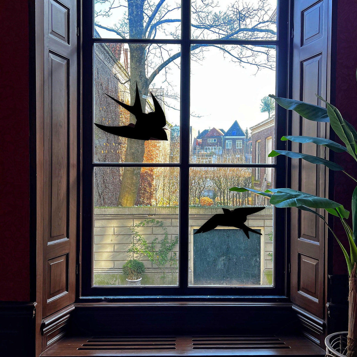 Black bird silhouette decals on window, designed to prevent bird collisions and ensure safety for wildlife.
