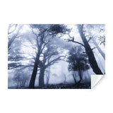 Foggy Forest Decal Wallpaper - Fog Tree Removable Wall Paper Sticker Mural Art