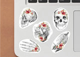 Anatomy Skeleton Decals - Medical School Decor
