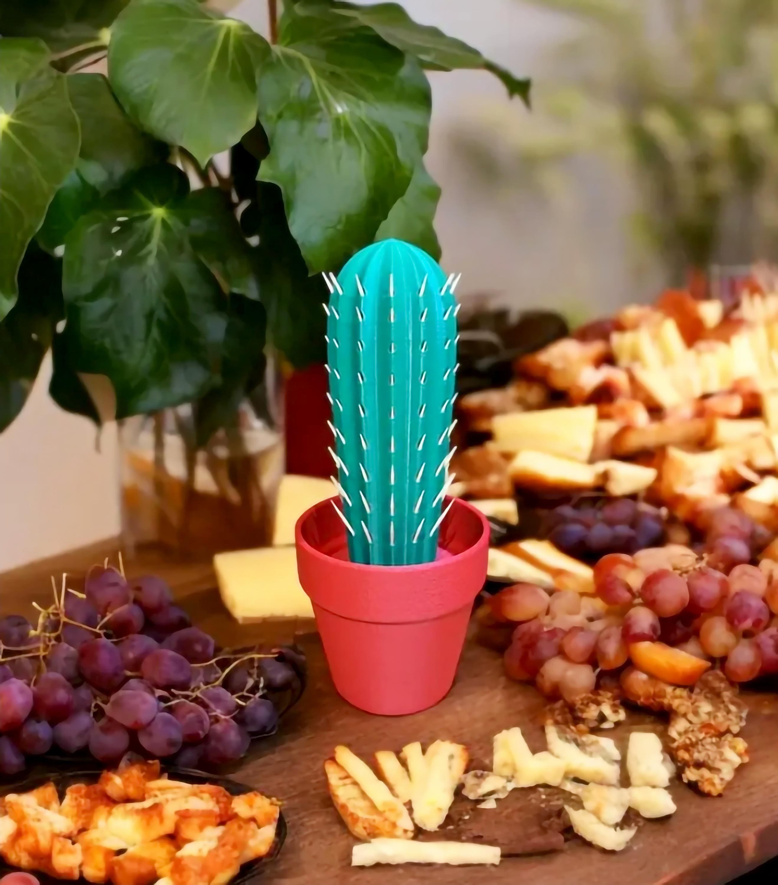 Cactus Toothpick Holder