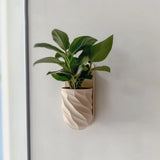 Wall Mounted Planter | 3D Printed Indoor Plant Pot | Vertical Garden Decor