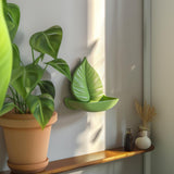 3D Printed Leaf Wall Shelf | Modern Botanical Floating Shelf Design | Unique Nature Inspired Home Decor | Contemporary Wall Shelf