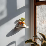 3D Printed Lava Volcano Planter | Floating Shelf for Succulents and Herbs | Bright Science Themed Accent for Nursery, Classroom and Home