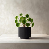 3D Printed Modern Black Planter | Minimalist Ribbed Plant Pot | Contemporary Indoor Planter | Unique Gift for Plant Lovers | Home Decor