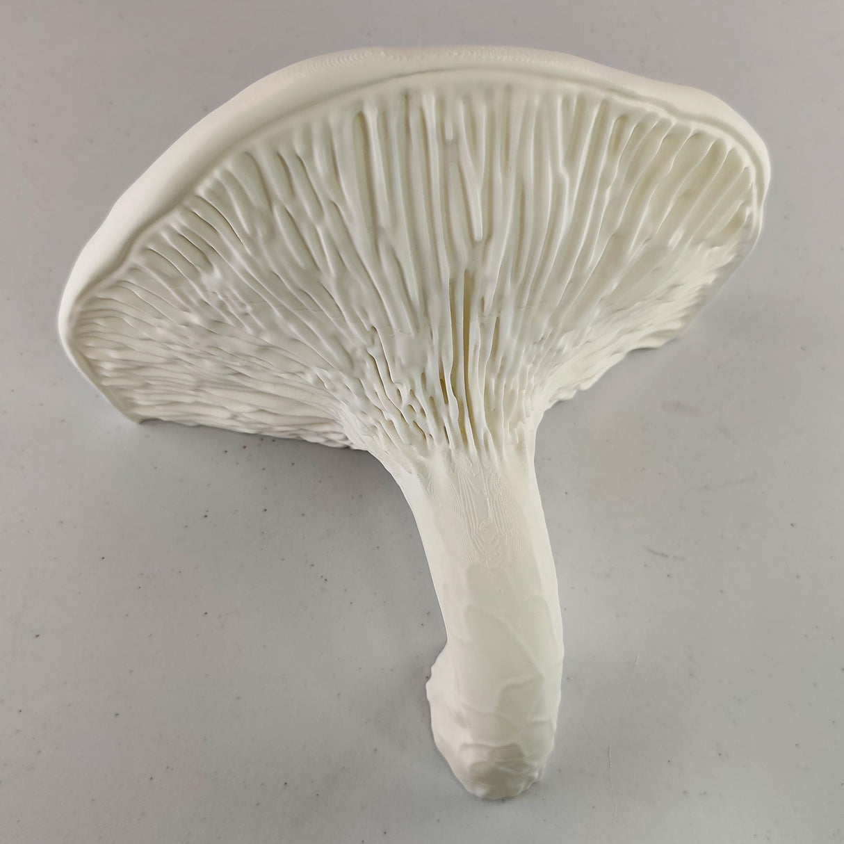 3D Printed Mushroom Shelf | Floating Wall Shelf | Organic Decor Nature Inspired Home Accent | Wall Mounted Shelf | Fungi Aesthetic Decor